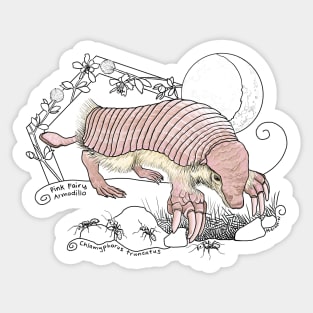 A Pink Fairy Armadillo under the moon Sticker